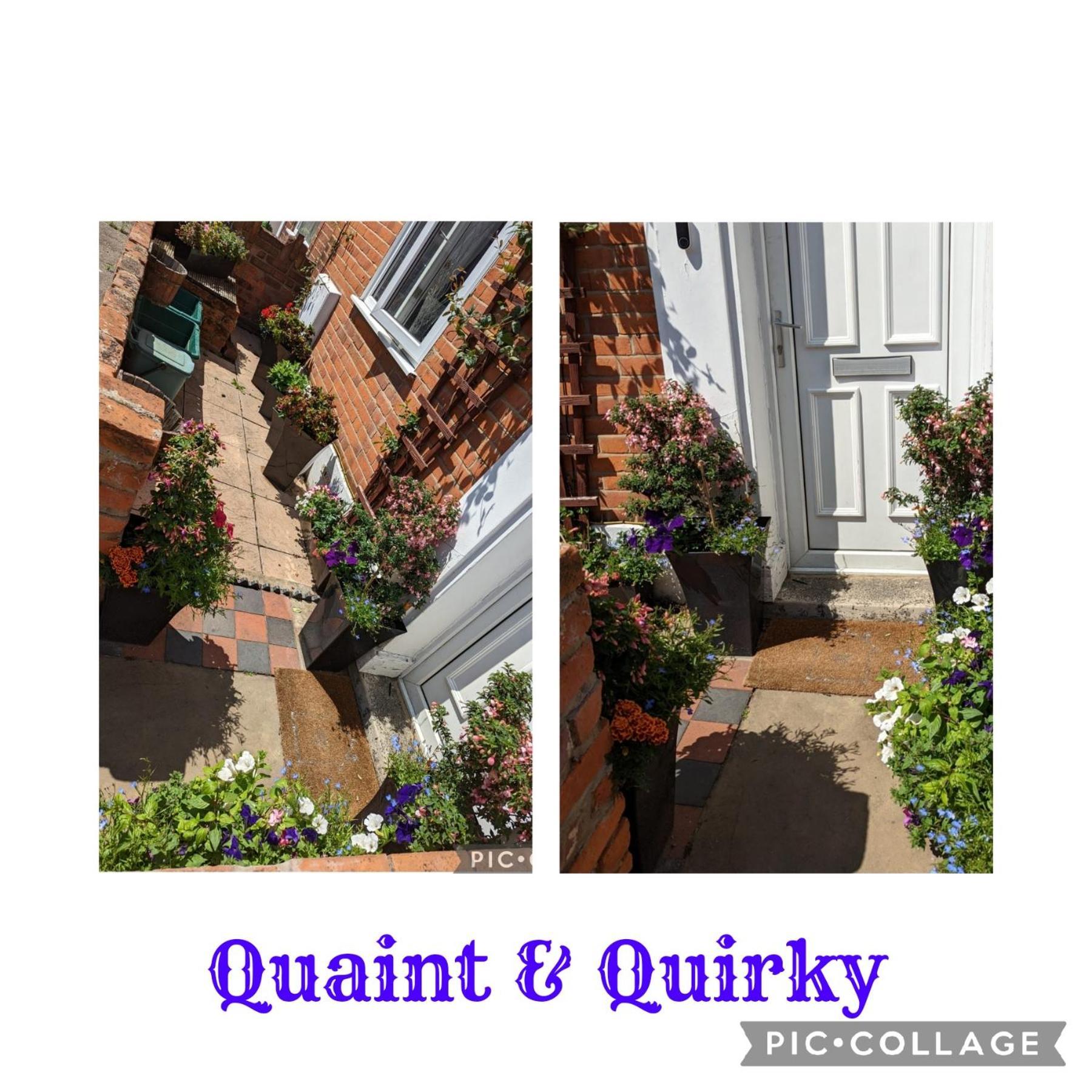 Quaint & Quirky House Colchester Town Centre Exteriör bild